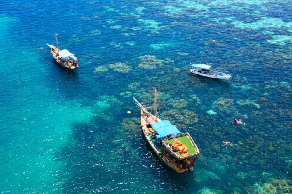 Zanzibar tours