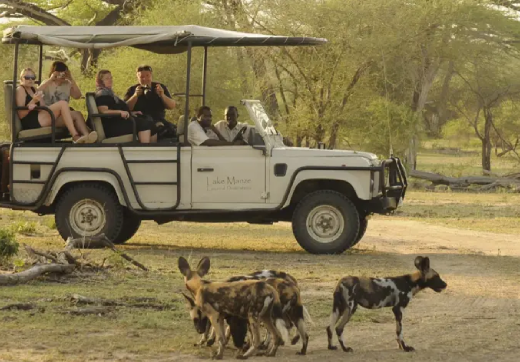 2 Days 1 Night Mikumi Safari From Zanzibar