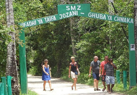 Jozani Forest Tour